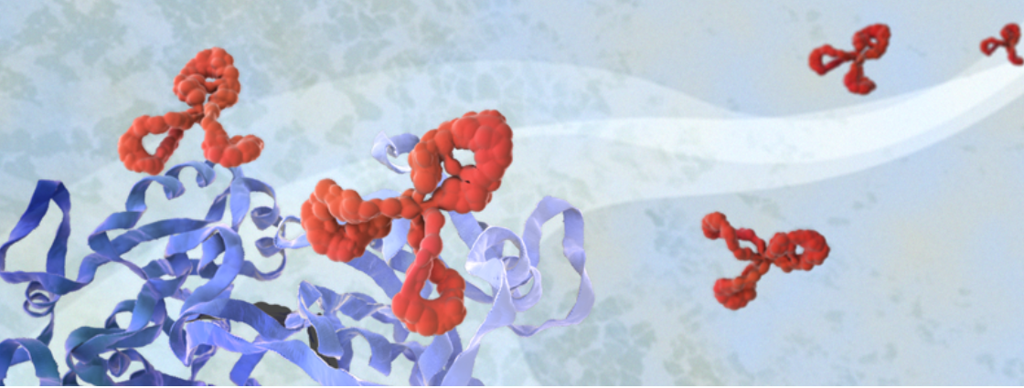 熒光標(biāo)記二抗種類繁多，如何選擇？